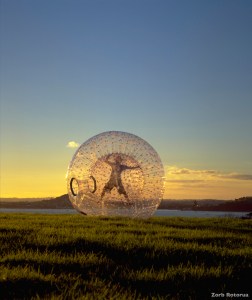 AD118-Rotorua-Rotorua-Zorb-Rotorua
